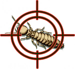 A pest inspection is "optional" but can save from problems down the road!